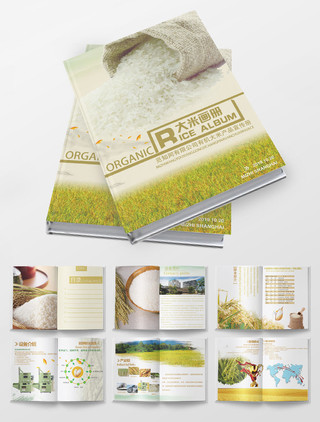 绿色大气大米农产品公司产品画册宣传册